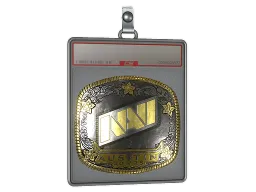 Sticker Slab | Natus Vincere (Gold) | Austin 2025