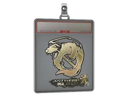 Sticker Slab | Outsiders (Gold) | Antwerp 2022