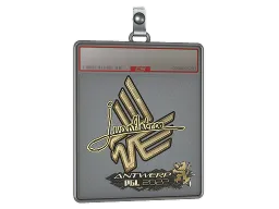 Sticker Slab | juanflatroo (Gold) | Antwerp 2022