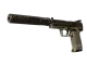 USP-S | 27 CS2 skin