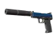 USP-S | Royal Guard CS2 skin