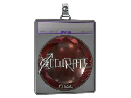 Sticker Slab | xccurate (Foil) | Katowice 2019