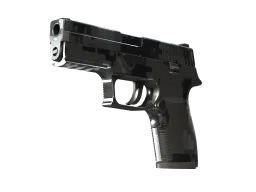 P250 | Metallic DDPAT (Factory New)