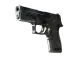 P250 | Metallic DDPAT