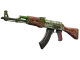 AK-47 | Hydroponic CS2 skin