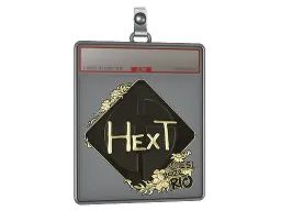 Sticker Slab | HexT (Gold) | Rio 2022