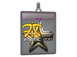 Sticker Slab | Fnatic (Foil) | Cluj-Napoca 2015