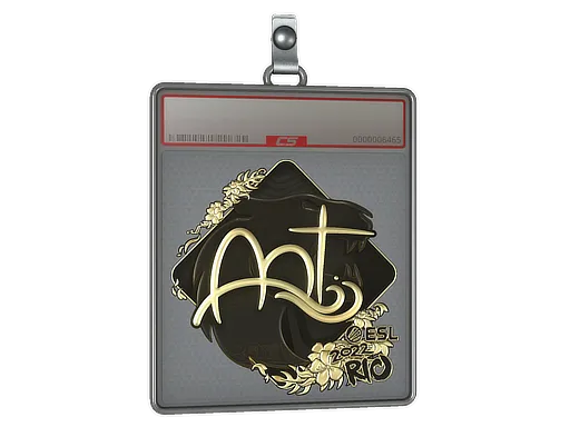 Sticker Slab | arT (Gold) | Rio 2022