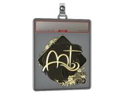 Sticker Slab | arT (Gold) | Rio 2022