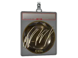 Sticker Slab | NAF (Gold) | Katowice 2019