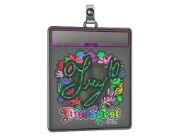 Sticker Slab | TRY (Holo) | Budapest 2025