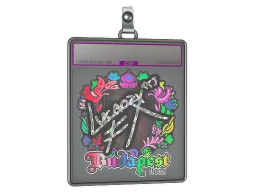 Sticker Slab | Lucaozy (Holo) | Budapest 2025