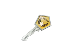 Winter Offensive Case Key