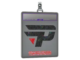 Sticker Slab | paiN Gaming (Glitter) | Copenhagen 2024
