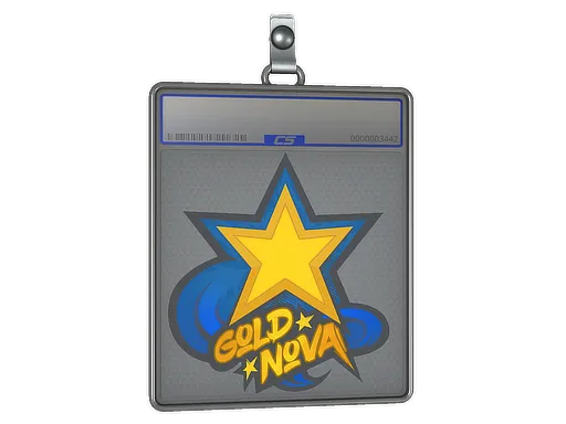 Sticker Slab | Gold Nova