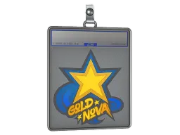 Sticker Slab | Gold Nova