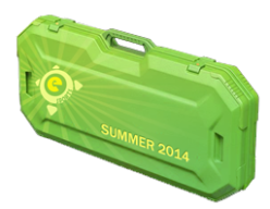 eSports 2014 Summer Case