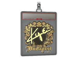 Sticker Slab | kye (Gold) | Budapest 2025