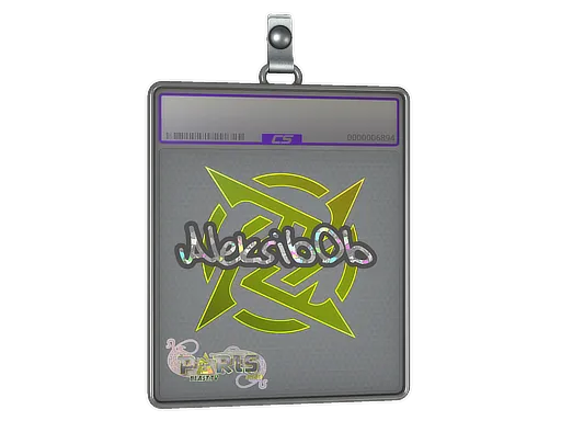 Sticker Slab | Aleksib (Glitter) | Paris 2023