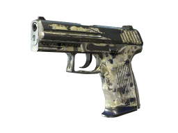 P2000 - CS2 Skin Prices