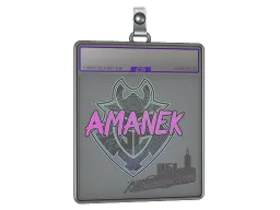 Sticker Slab | AMANEK (Holo) | Stockholm 2021