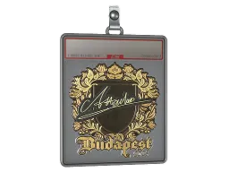 Sticker Slab | Attacker (Gold) | Budapest 2025