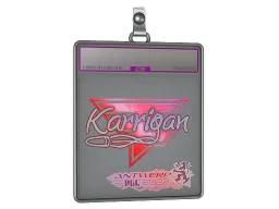 Sticker Slab | karrigan (Holo) | Antwerp 2022