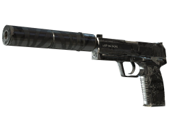 USP-S | Dark Water (Field-Tested)