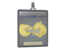 Sticker Slab | Calyx | Copenhagen 2024