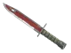 ★ Bayonet | Crimson Web CS2 skin