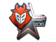 Sticker | G2 Esports (Foil) | Cluj-Napoca 2015