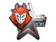 Sticker | G2 Esports | Cluj-Napoca 2015 CS2 skin
