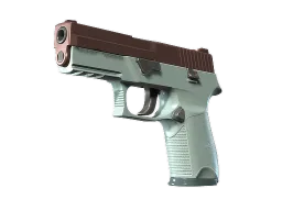 P250 | Copper Oxide CS2 skin