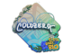 Sticker | coldzera | Rio 2022