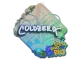 Sticker | coldzera | Rio 2022 CS2 skin