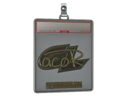 Sticker Slab | acoR (Gold) | Copenhagen 2024