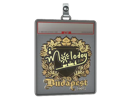 Sticker Slab | molodoy (Gold) | Budapest 2025