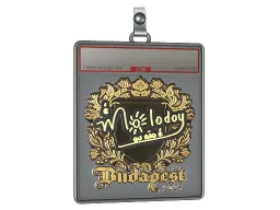 Sticker Slab | molodoy (Gold) | Budapest 2025