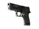 Souvenir P250 | Metallic DDPAT (Factory New)