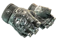 ★ Broken Fang Gloves | Unhinged (Field-Tested)