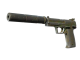 Souvenir USP-S | Forest Leaves (Battle-Scarred)