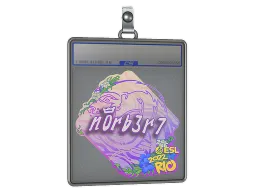 Sticker Slab | n0rb3r7 | Rio 2022