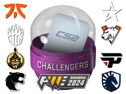 Shanghai 2024 Challengers Sticker Capsule