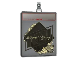 Sticker Slab | sdy (Gold) | Rio 2022