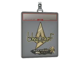 Sticker Slab | blameF (Gold) | Antwerp 2022