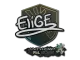 Sticker | EliGE | Antwerp 2022 CS2 skin