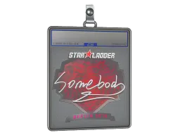 Sticker Slab | somebody | Berlin 2019