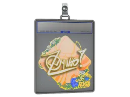 Sticker Slab | ZywOo | Rio 2022