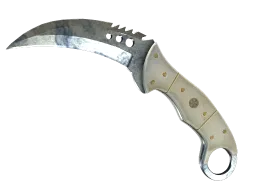 ★ StatTrak™ Talon Knife | Stained (Field-Tested)