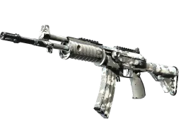 Galil AR | Winter Forest (Well-Worn)